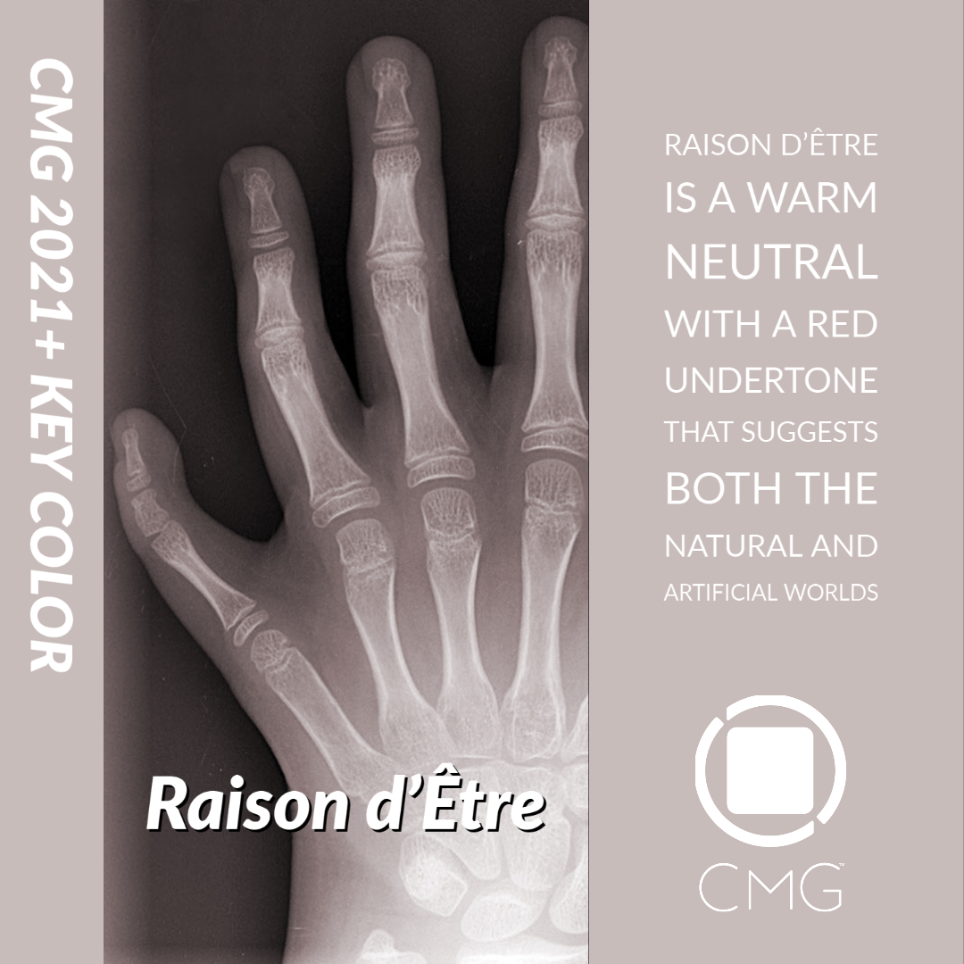 2021 Key color Raison d'etre